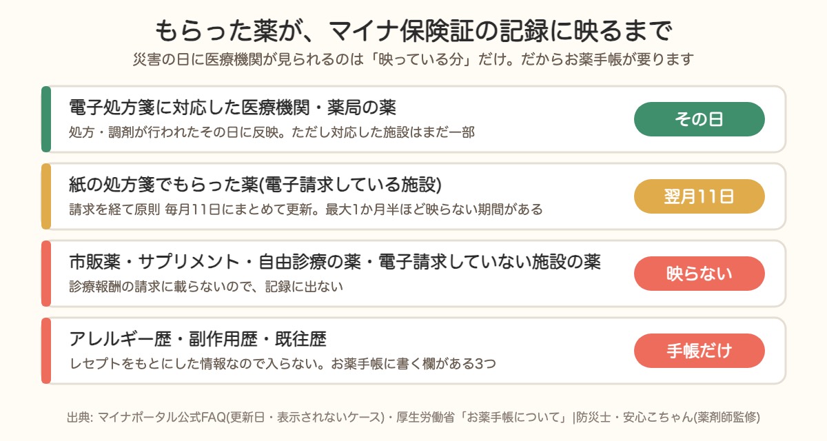 もらった薬がマイナ保険証の記録に映るまでの時間。電子処方箋はその日、紙の処方箋は翌月11日、市販薬とアレルギー歴は映らない